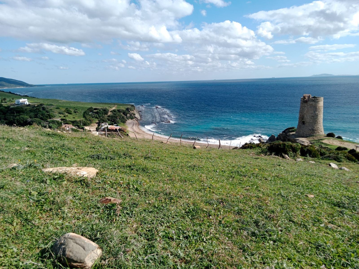 Tarifa
